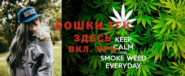 гидра Костерёво