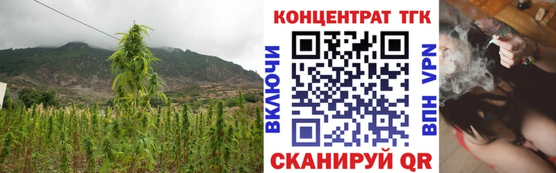 Дистиллят ТГК THC oil Лесозаводск
