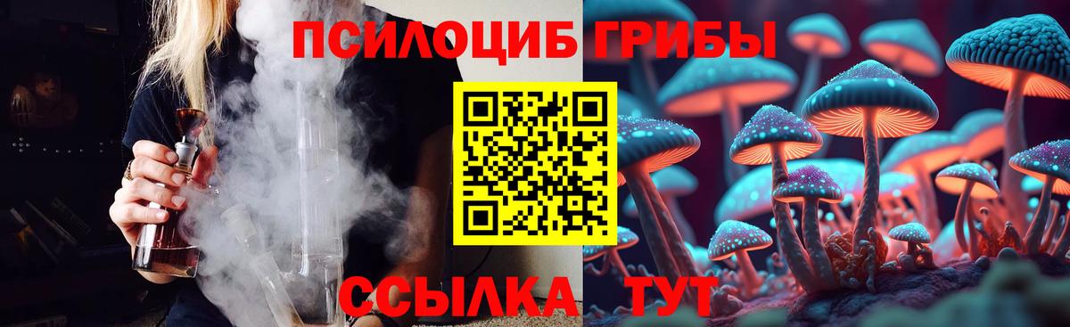 Лесозаводск  Галлюциногенные грибы ЛСД  Вход с VPN 